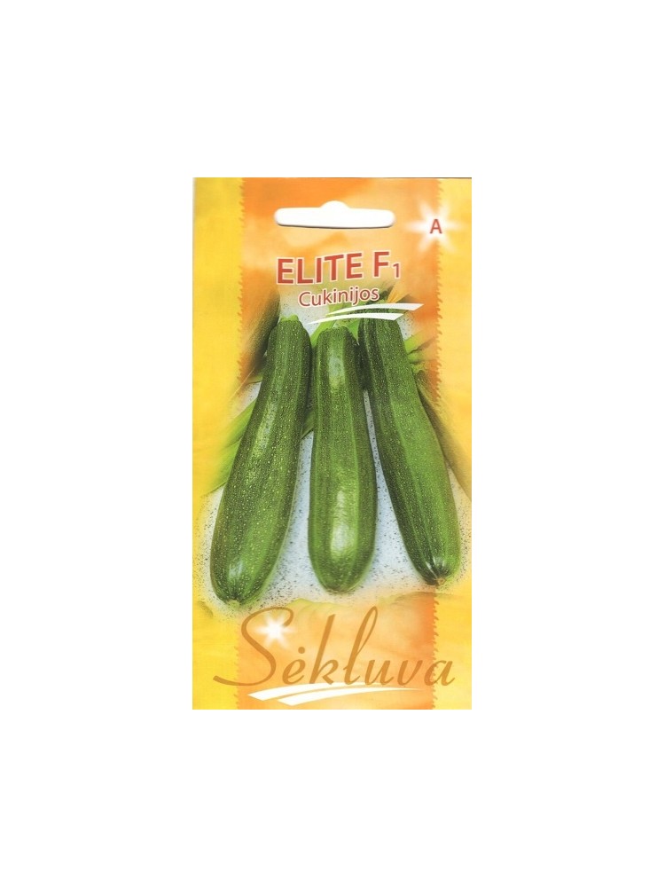 Courgette 'Elite' H, 6 graines