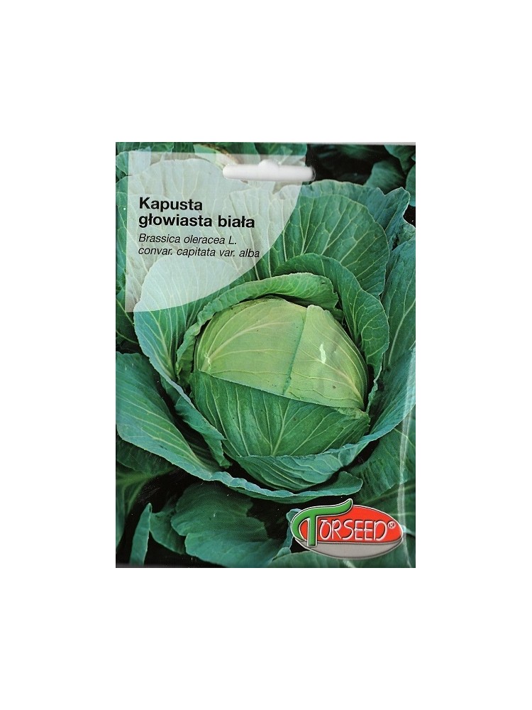 White cabbage 'Dithmarscher Früher' 50 g