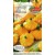 Pattypan squash 'Patisson orange' 1 g
