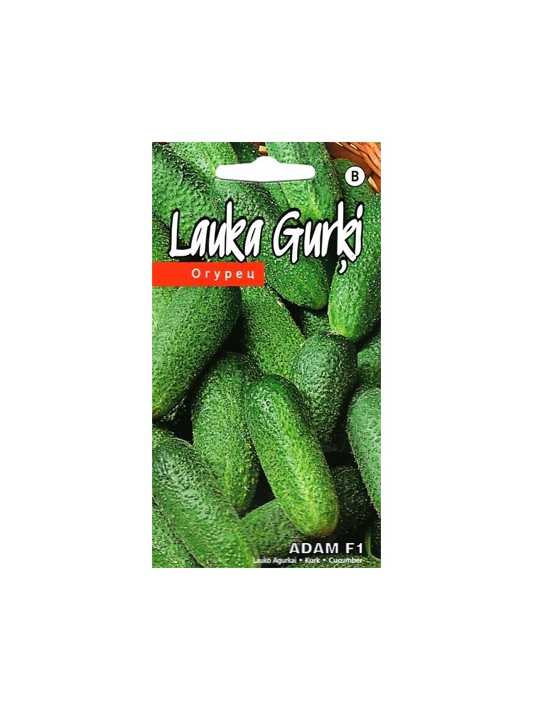 Cucumber 'Adam' H, 15 seeds