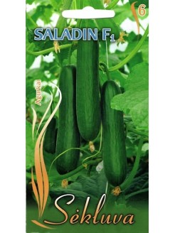 Concombre 'Saladin' H, 8 semences