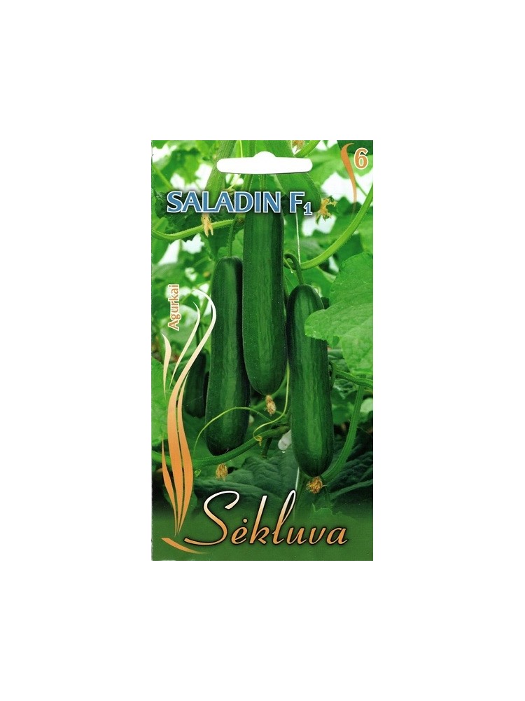 Cucumber 'Saladin' H, 8 seeds