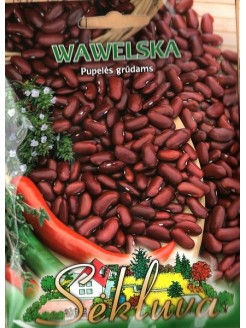 Parastās pupiņas 'Wawelska' 40 g