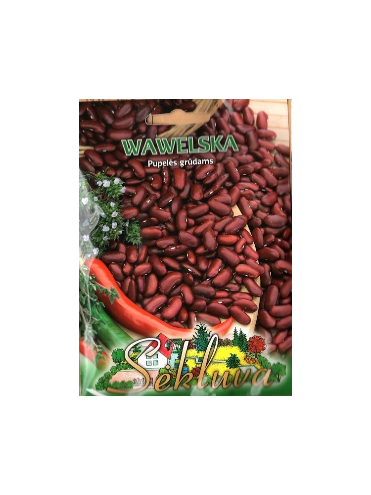 Common bean 'Wawelska' 40 g