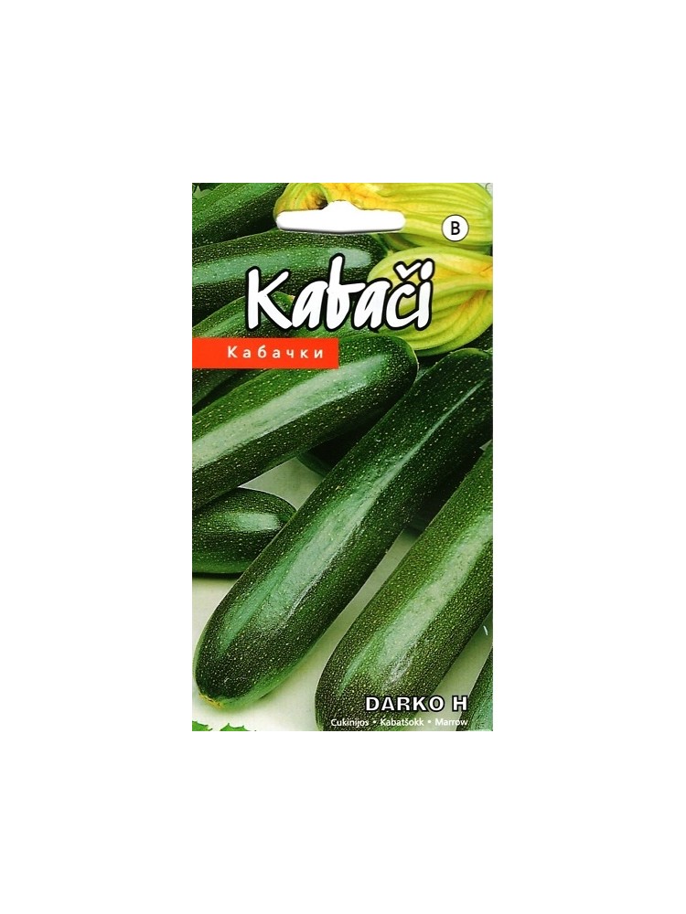 Zucchini 'Darko' H, 5 Samen