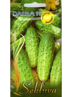 Cucumber 'Dalila' H, 50 g