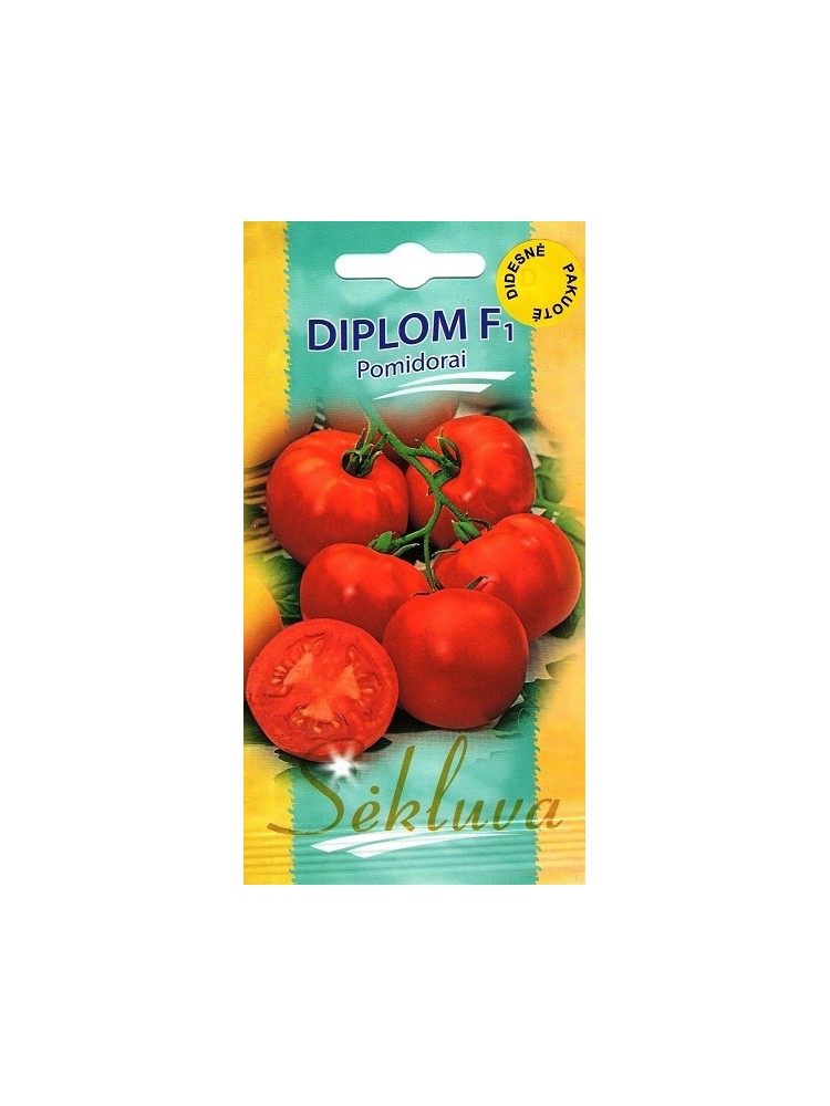 Pomodoro 'Diplom' H, 100 semi