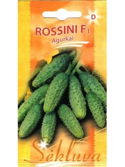Gherkin 'Rossini' H, 20 seeds