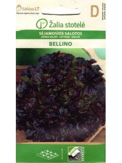 Ozollapu salāti 'Bellino' 0,3 g