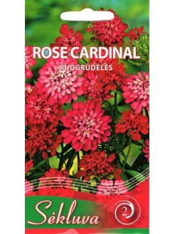 Иберис гибралтарский 'Rose Cardinal' 0,5 g