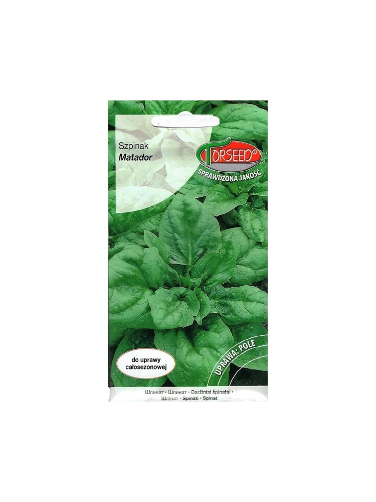 Spinach 'Matador' 10 g