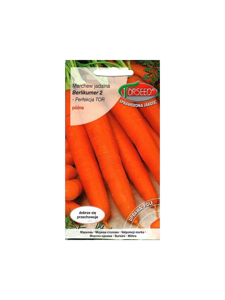 Морковь посевная 'Berlikumer 2' 5 г