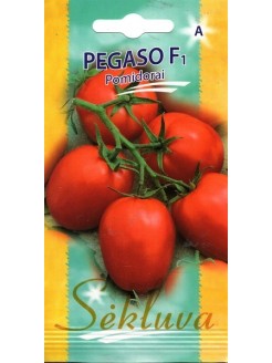 Harilik tomat 'Pegaso' H, 15 seemned