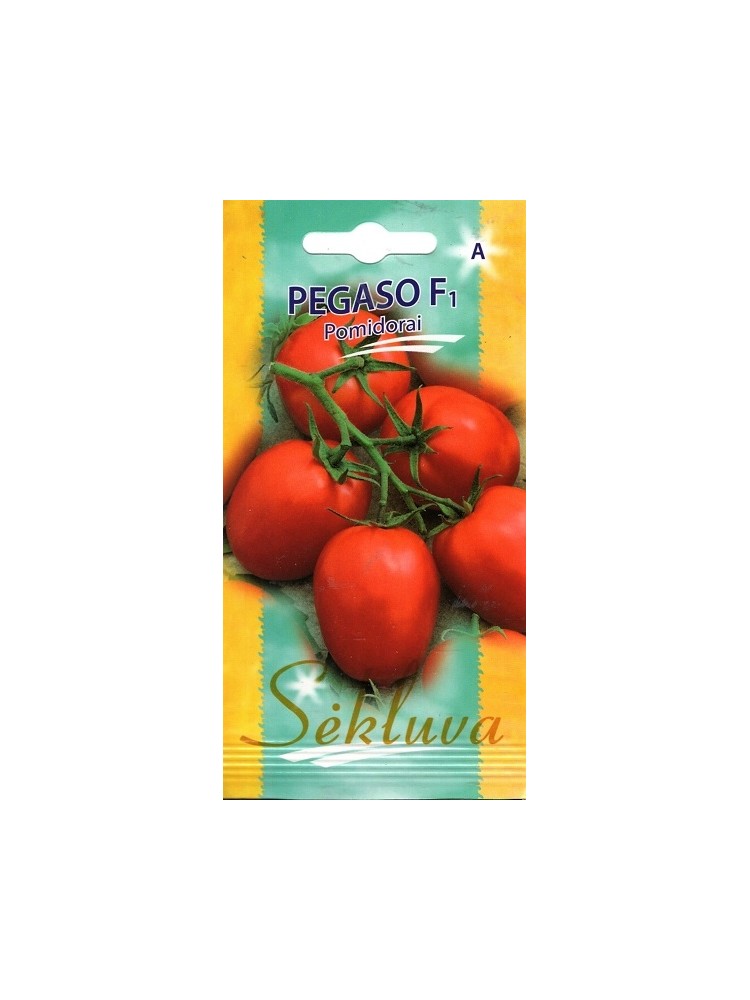 Harilik tomat 'Pegaso' H, 15 seemned