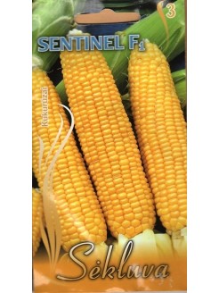 Кукуруза сахарная 'Sentinel' H, 15 семян