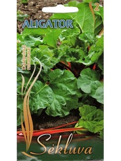 Rhubarbe 'Aligator' 0,5 g