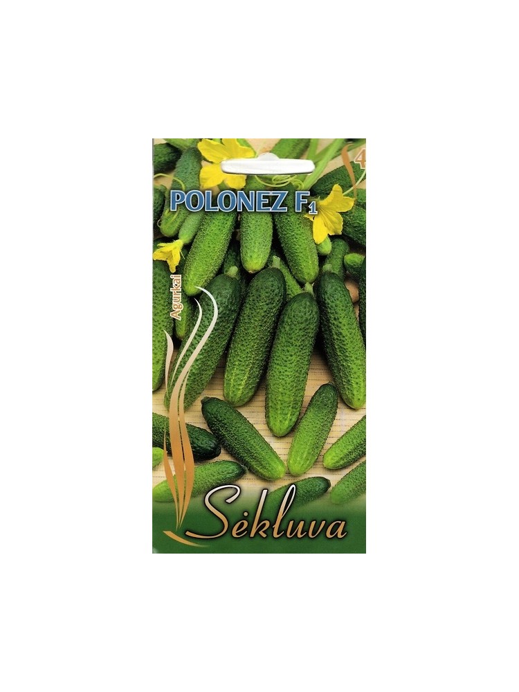 Cucumber 'Polonez' H, 1,5 g