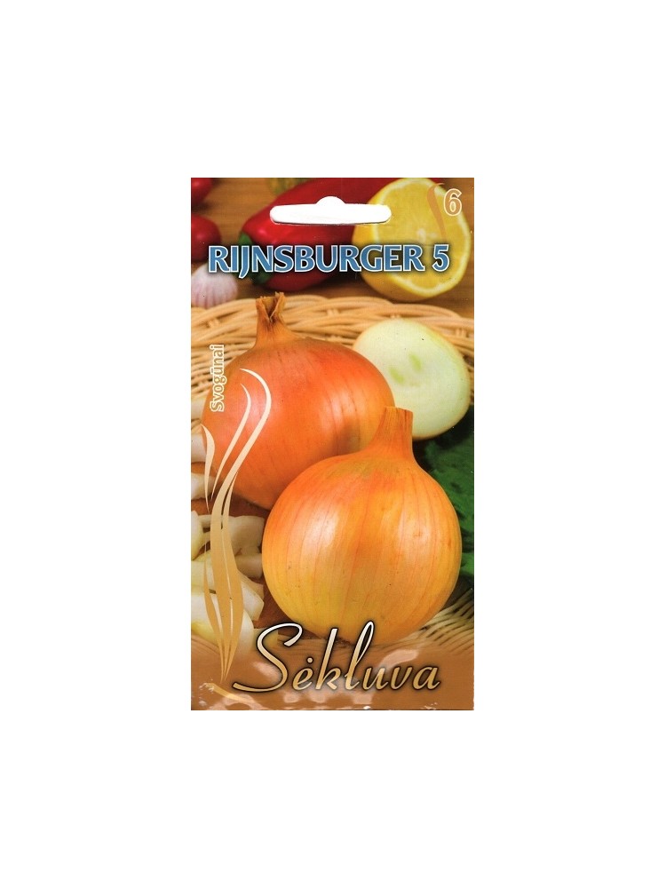 Cipolla 'Rijnsburger 5' 2 g