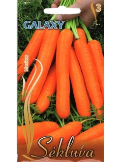 Морковь посевная 'Galaxy' 3 г