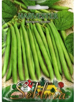 Gartenbohne 'Harvester' 50 g