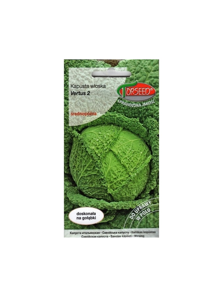 Savoy cabbage 'Vertus 2' 2 g