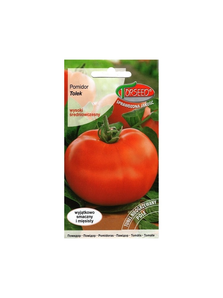 Harilik tomat TOR 2415 (Tolek) 0,1 g
