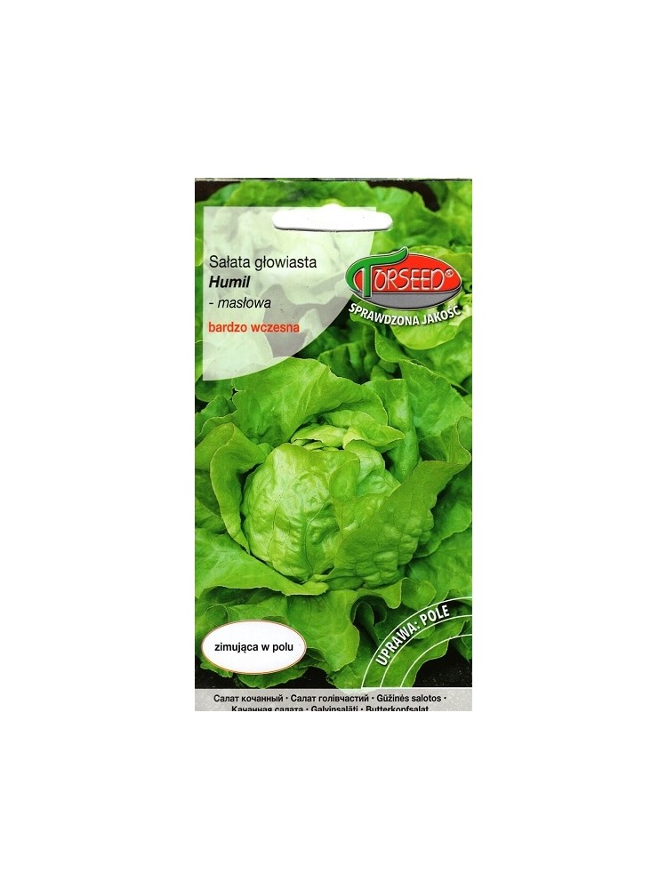 Gartensalat  'Humil' 0,5 g