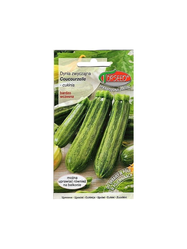 Zucchino 'Coucourzelle' 2 g