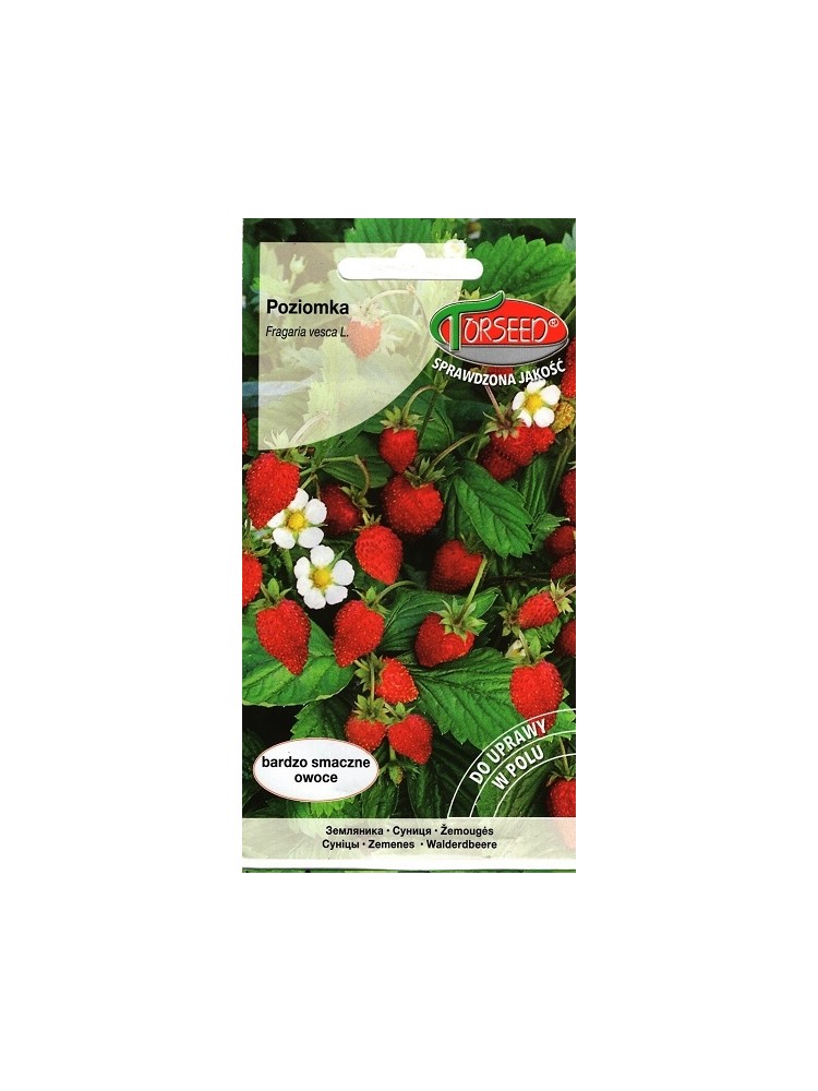 Woodland strawberry 'Baron von Solemacher' 0,2 g