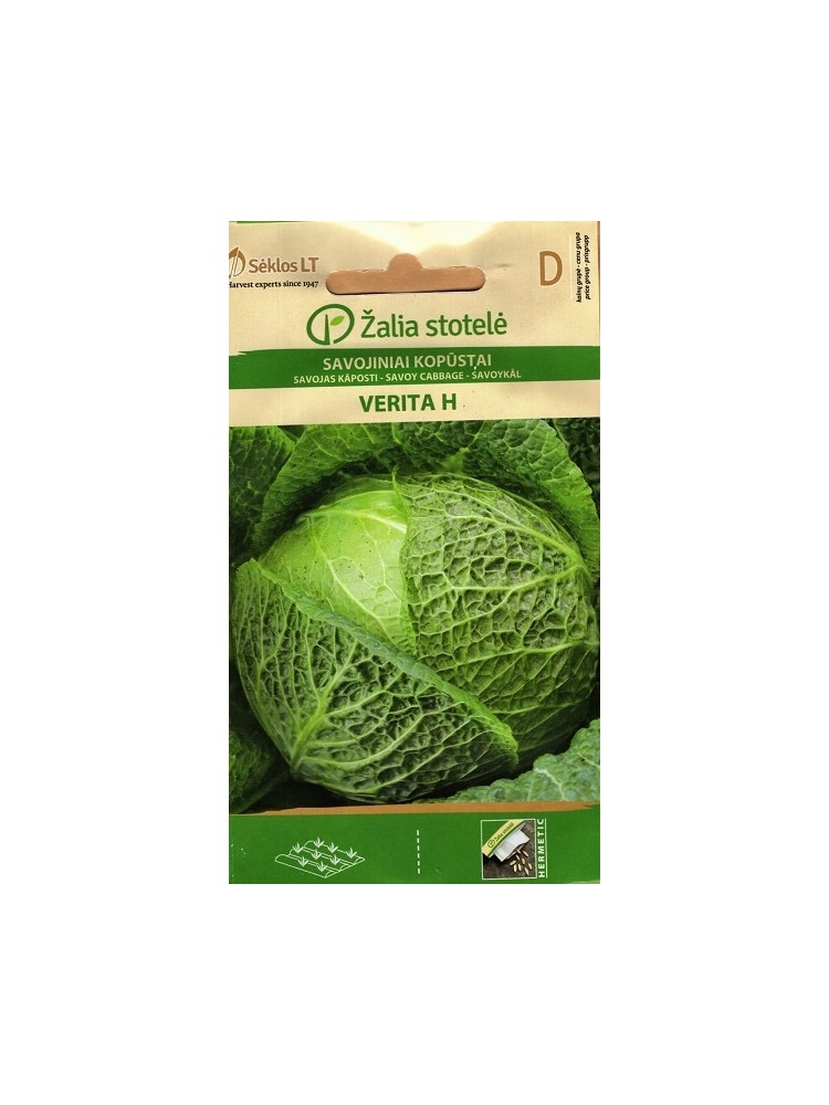 Savoy cabbage 'Verita' H, 1 g