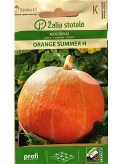 Suureviljaline kõrvits 'Orange Summer' H, 5 seemned