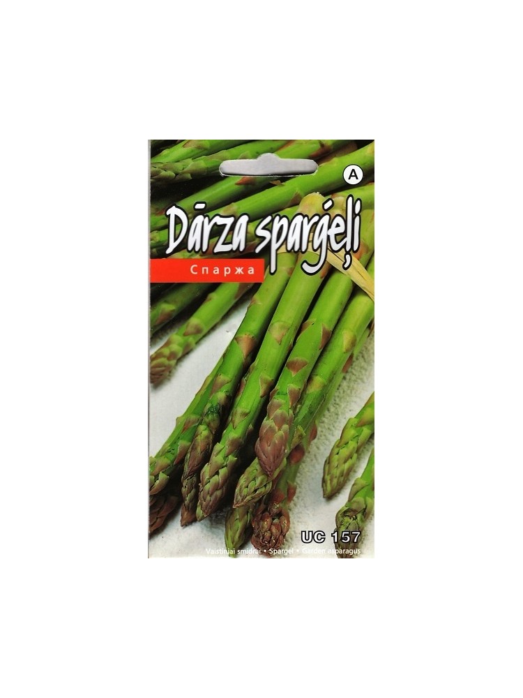 Asparagus 'UC 157' F2, 1 g