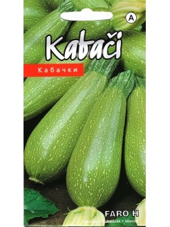 Zucchini 'Faro' H, 5 seeds