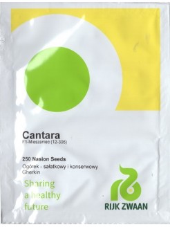 Gherkin 'Cantara' H, 250 seeds