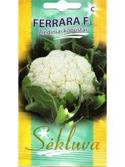 Chou-fleur 'Ferrara' H, 25 semences