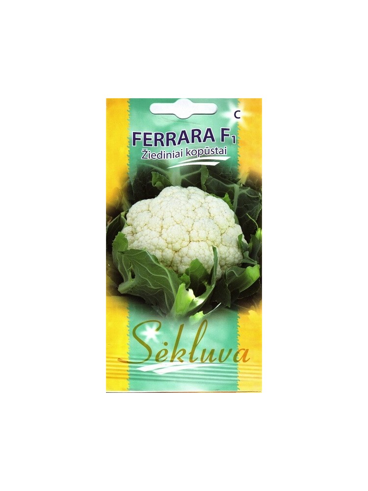 Cauliflower 'Ferrara' H, 25 seeds