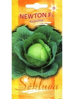 Капуста белокочанная 'Newton' H, 25 семян