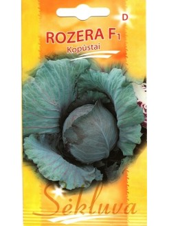 Капуста краснокочанная 'Rozera' F1, 25 семян