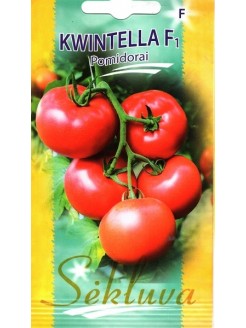 Pomodoro 'Kwintella' H, 10 semi