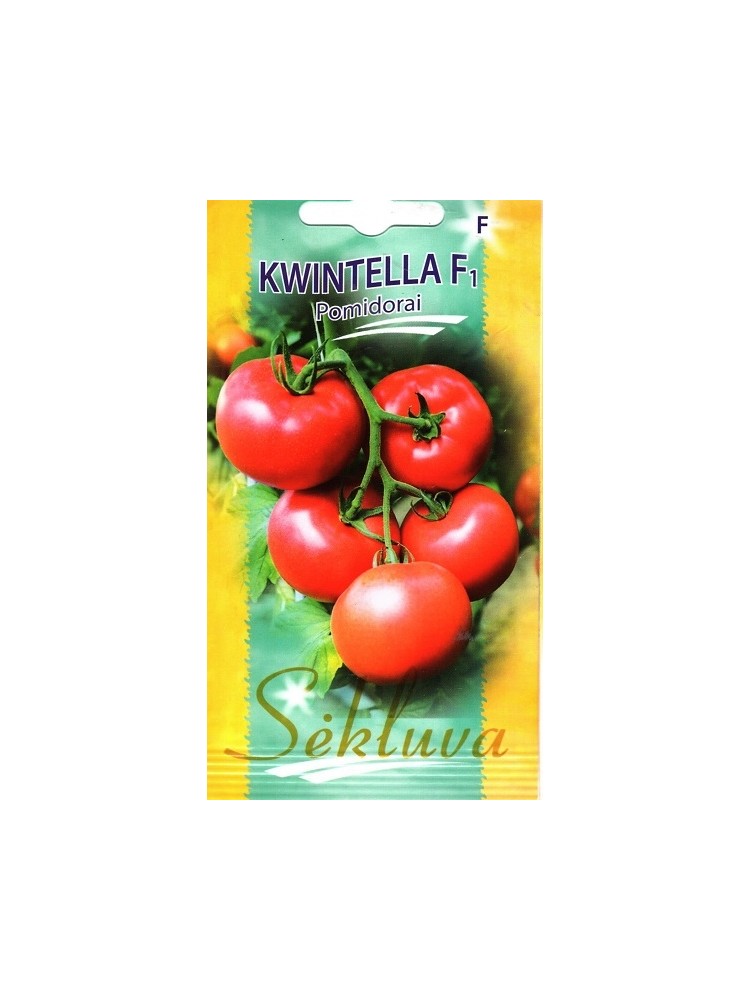 Tomat 'Kwintella' H,  10 seemet