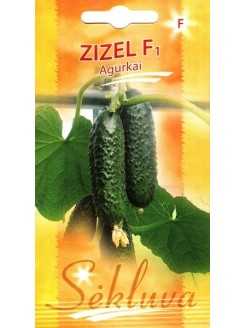 Gherkin 'Zizel' H, 20 seeds