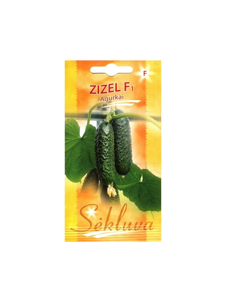 Gherkin 'Zizel' H, 20 seeds