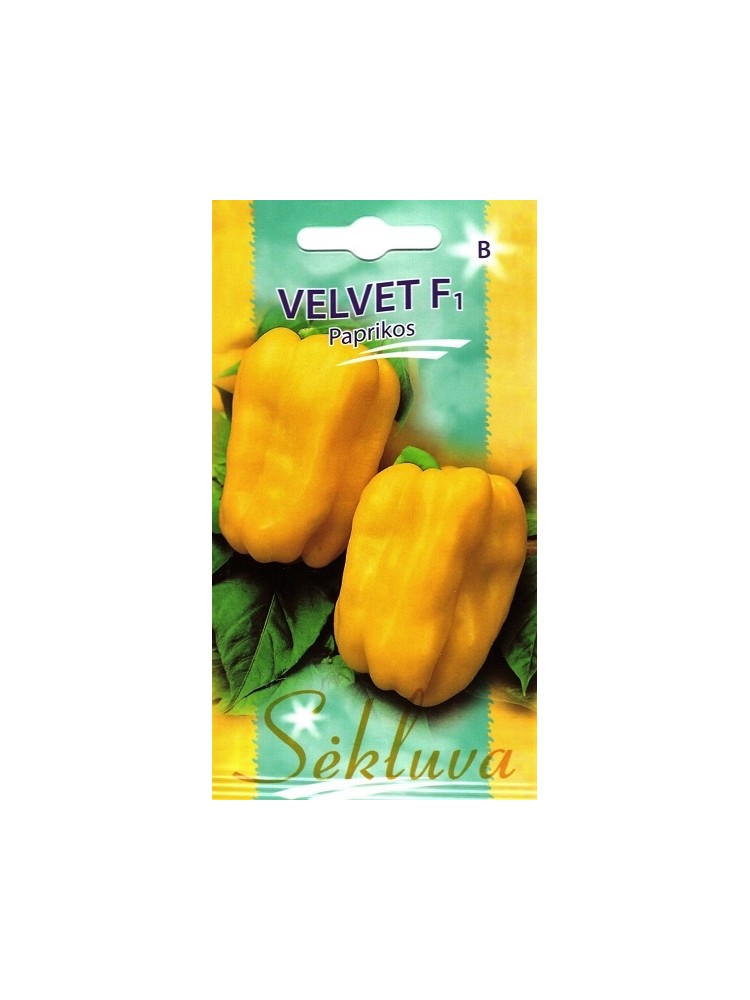 Sweet pepper 'Velvet' H, 10 seeds