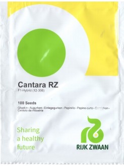 Cetriolo 'Cantara' H, 100 semi
