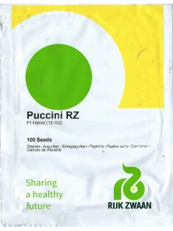 Огурец посевной 'Puccini' H, 100 семян