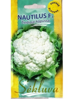 Lillkapsas 'Nautilus' H, 500 seemned
