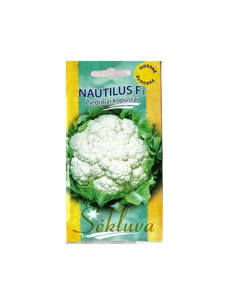 Cauliflower 'Nautilus' H, 500 seeds