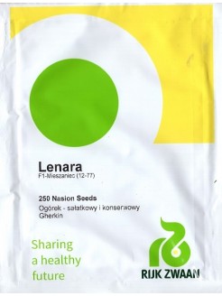Cucumber 'Lenara' H, 250 seeds