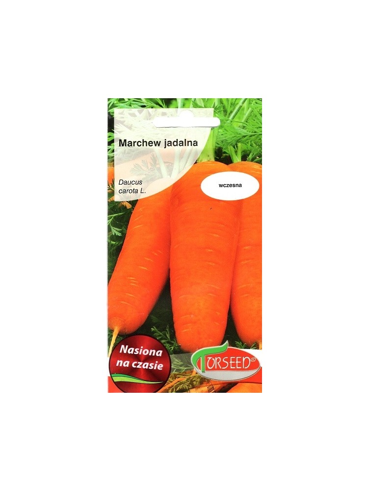 Carota 'Chantenay' 5 g