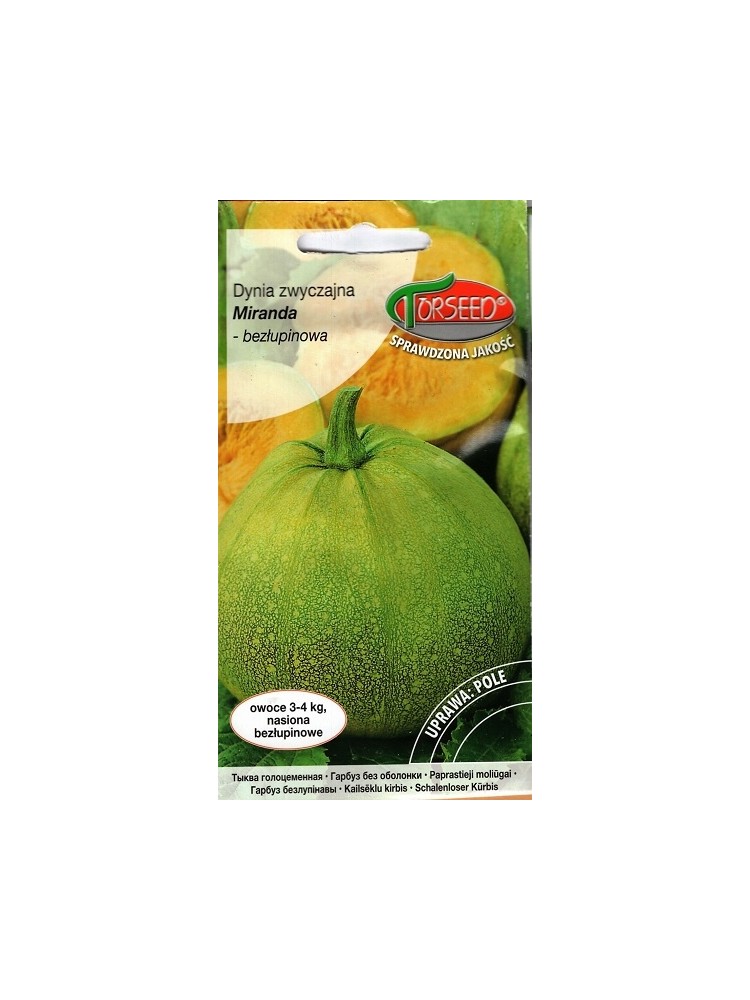 Oilseed Pumpkin 'Miranda' 3 g